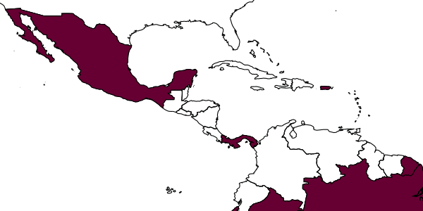 map of Dryinus flavoniger     Olmi, 1984